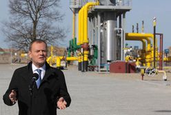 Będzie referendum ws. budowy elektrowni w Polsce?