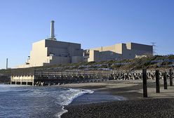 Kolejna japońska elektrownia jądrowa wyłączona