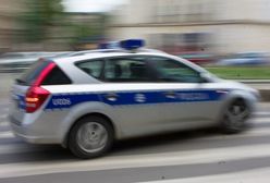 Pościg za polskimi złodziejami