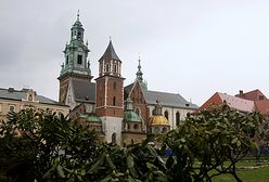 "Czy na pewno godzien królów?" - protest przeciwko pochówkowi na Wawelu