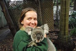 Jak Polka matkuje koalom - "nie wolno dotykać uszu!"