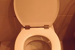 Klozet "is my castle"! Czy Polacy zupełnie zwariowali?