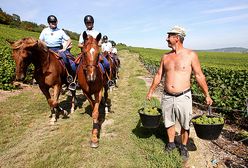 Grupa Polaków zatrzymana we Francji - zostali oszukani