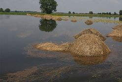 Meteorolodzy ostrzegają Dolny Śląsk - będzie padać