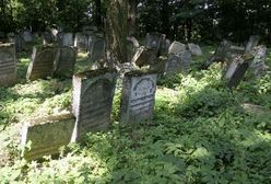 Więźniowie do synagog