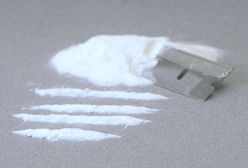 9 kolejnych ofiar wojny z narkobiznesem w Meksyku