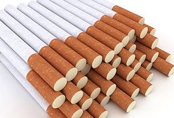 Polak próbował przemycić 560 kg papierosów