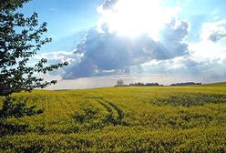 Prokuratura bada sprawę rekompensaty dla albertynek