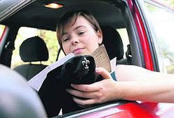 Wstąp do harcerstwa - dostaniesz zniżkę na OC