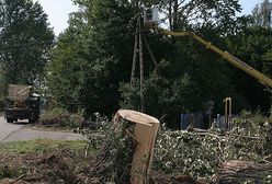 Synoptycy: burze nadciągają nad zachodnią Polskę