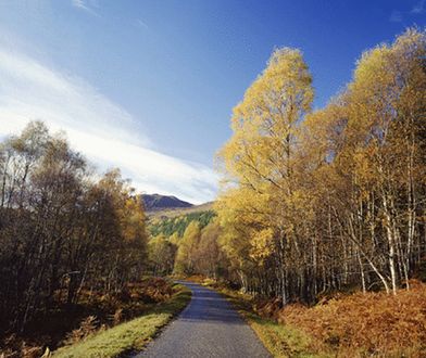 Ile potrwa złota jesień? Sprawdź, kiedy przyjdą mrozy