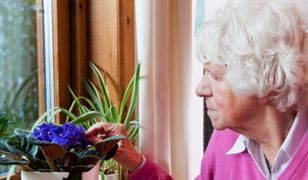 "Na wnuczka" i "na policjanta" wyłudzili 300 tys. zł