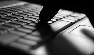 PiS wypowiada wojnę - "dość chamstwa"