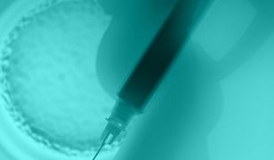 Księża będą wiedzieć wszystko o in vitro