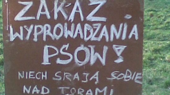 Obraz