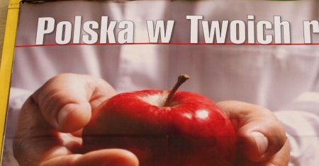 Na wyborach szykuje się zaskakująca frekwencja