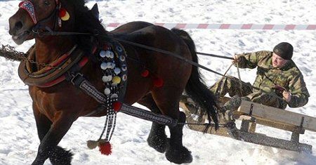 Odszkodowania za zwierzęta zarekwirowane przed wojną