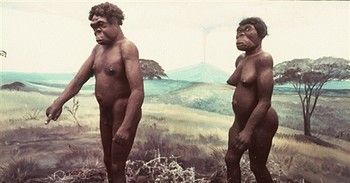Ty neandertalu