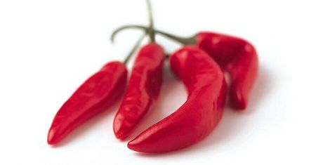 Antyterroryści wezwani do papryki chilli