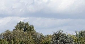Wyłowione zwłoki to nie ciało pilota awionetki