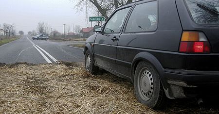 Litwa wprowadziła zakaz importu żywego drobiu z Polski
