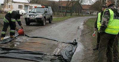 Kolejne ognisko ptasiej grypy w Warmińsko-Mazurskiem