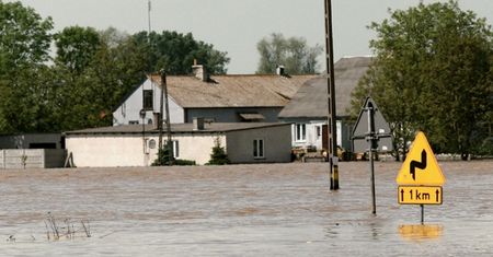 Przezorny, nie zawsze dobrze ubezpieczony