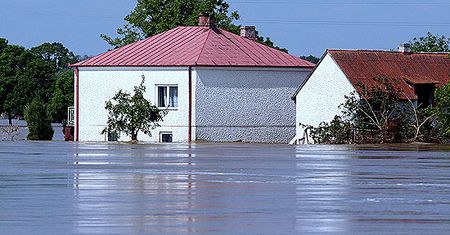 Burmistrz Gąbina proponuje przesiedlić powodzian
