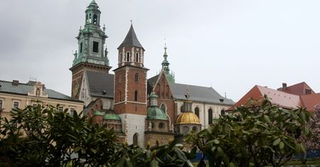 "Decyzja o miejscu pogrzebu zapadła, nie protestujcie"