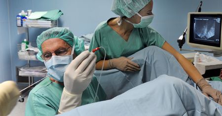 "W sprawie in vitro Kościół poniósł porażkę"