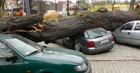 Niszczycielskie wichury nad Polską - sześć osób rannych
