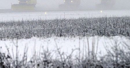 Synoptycy ostrzegają: nawet -18 stopni i gęsta mgła
