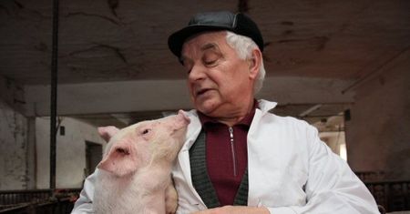 Weterynarze dostaną podwyżki, znowu będą badać mięso