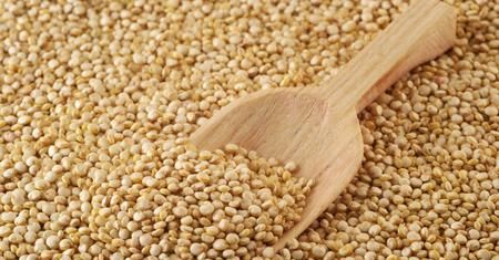 Quinoa, urocze ziarenka