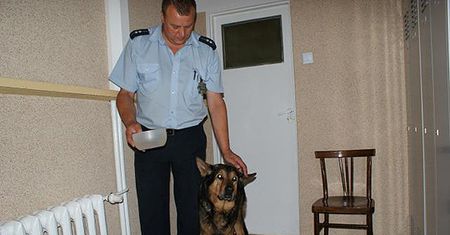Pies sam zgłosił swoje zaginięcie