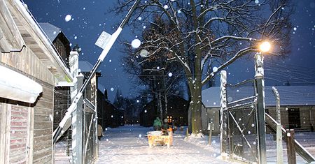 Piąty z zatrzymanych organizatorem kradzieży w Auschwitz