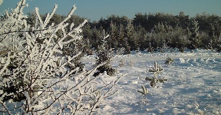 Uwaga: silny wiatr, śnieg i szklanka na drogach