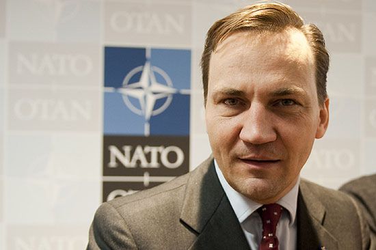 Sikorski szefem NATO? Jeśli Rasmussen się wycofa