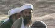 Bin Laden i zamachowcy z 11 września w Internecie