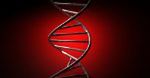 Komputer z DNA oblicza pierwiastki