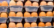 Ponad 100 tys. zatrutych jaj trafiło z Niemiec do Holandii?