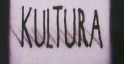 Istnienie TVP Kultura jest zagrożone?
