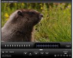 ALLPlayer 4.4.6.9 - odtworzysz każdy film