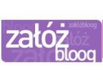 Aby twój blog odniósł sukces musisz...