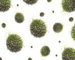 Trzy zagrożenia przyczyną ponad 25% infekcji