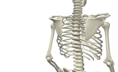 Lubelscy naukowcy mają patent na kości