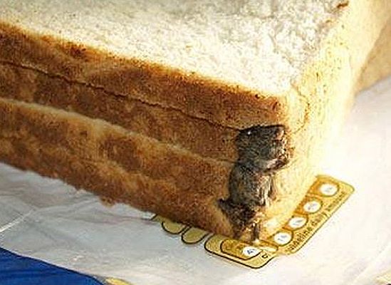 Nie mógł uwierzyć oczom - zobacz, co znalazł w chlebie