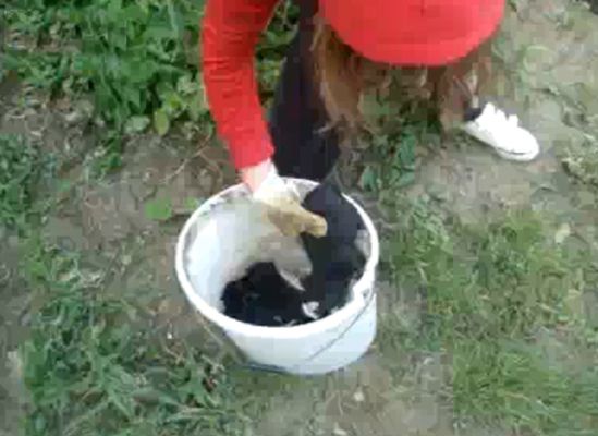 Szokujące nagranie - wrzucała żywe szczeniaki do rzeki