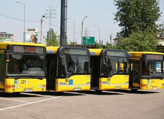 Żniwo policyjnej akcji "Bus"