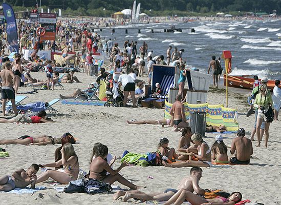 Sinice atakują w Zatoce Gdańskiej - zamknięto plaże